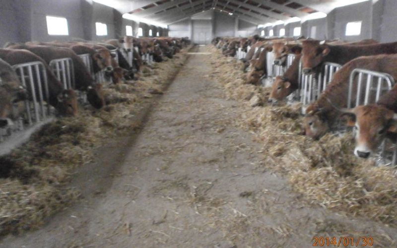 Topografía catastros Tineo Topografía catastros Tineo